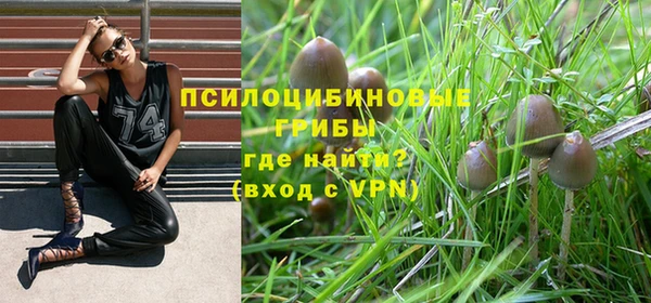 ALPHA-PVP Абинск