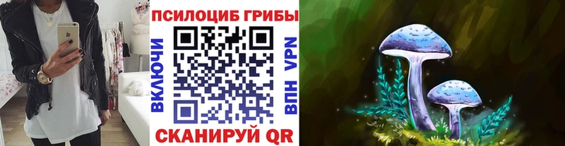 Галлюциногенные грибы Cubensis  где купить наркоту  Барыш 